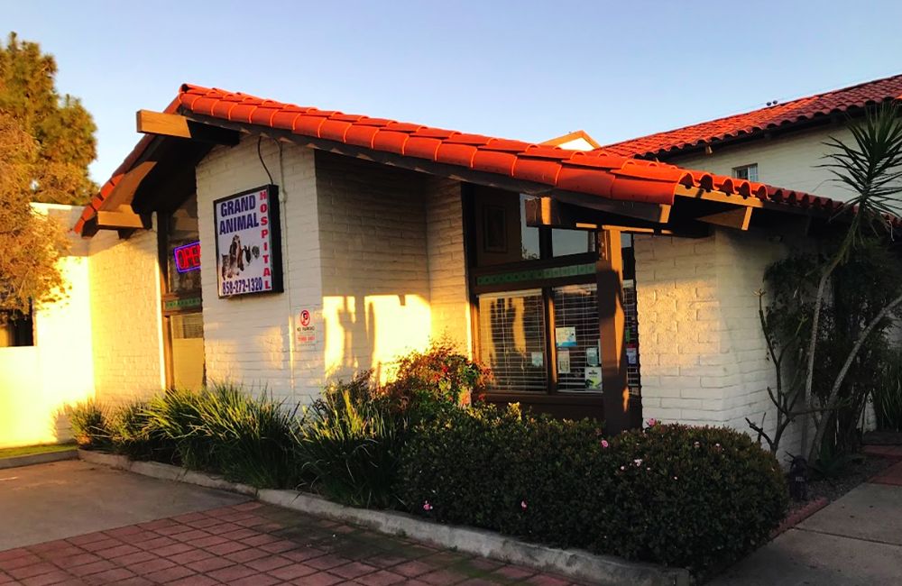 grand animal hospital entrance