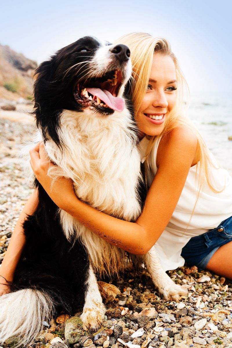 woman hugging a black and white border collie dog at the beach