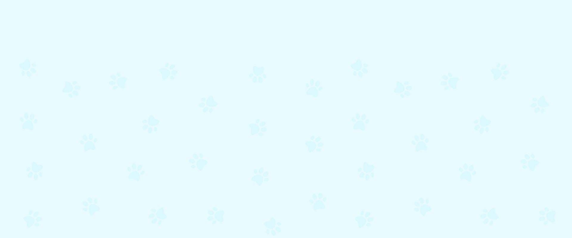 paws pattern background header